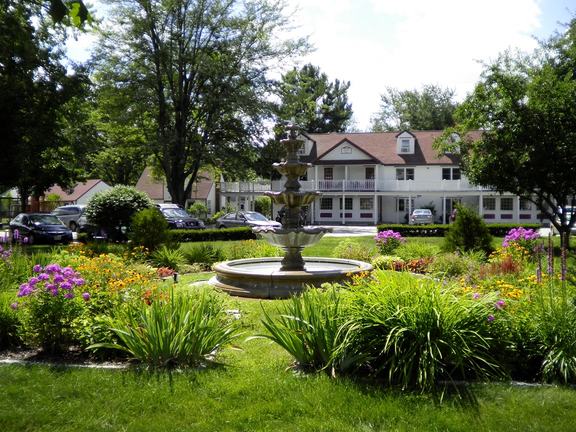 ESI landscaping and fountain